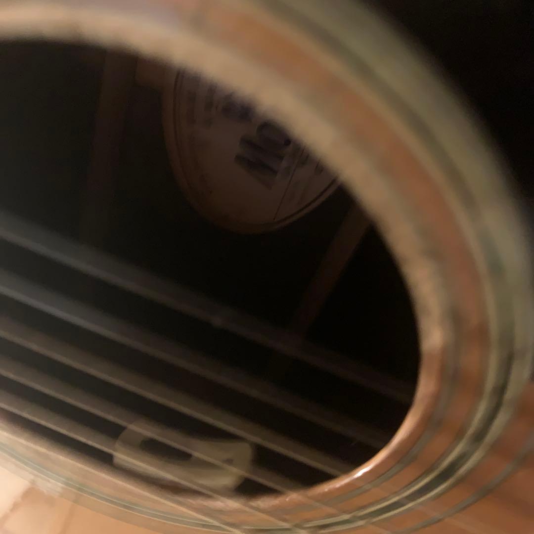 L.R Baggs Anthem SL？搭載!　Morris W-28