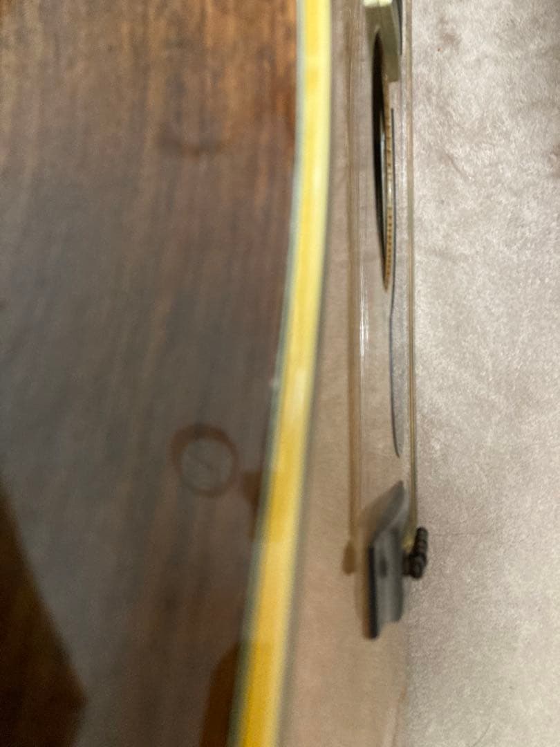 L.R Baggs Anthem SL？搭載!　Morris W-28