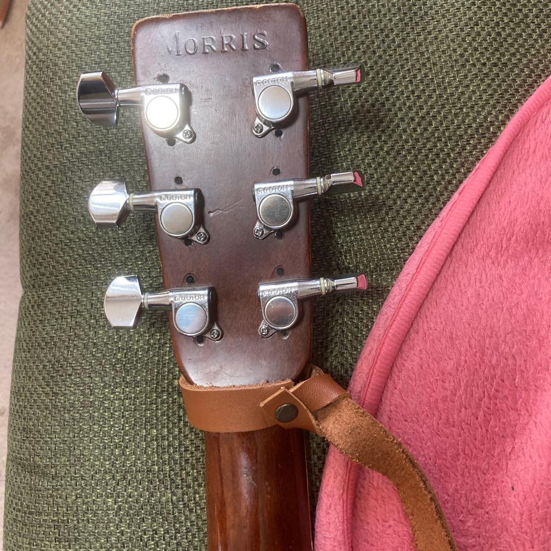 L.R Baggs Anthem SL？搭載!　Morris W-28