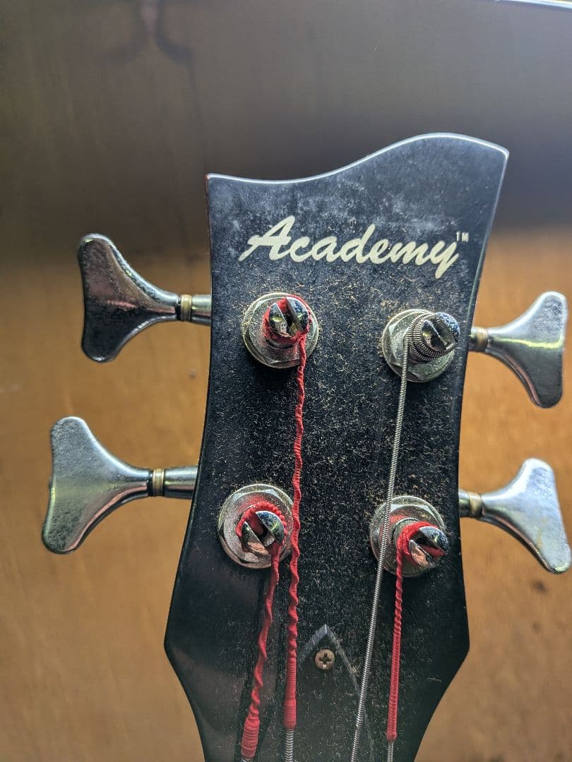 Academy バイオリンベース ケース・ストラップ付き