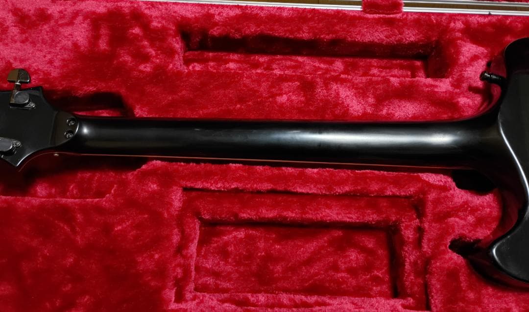 【SUGIZO直筆サイン入り！】 LUNASEA　TLRS　　　ESP R-Ⅰ