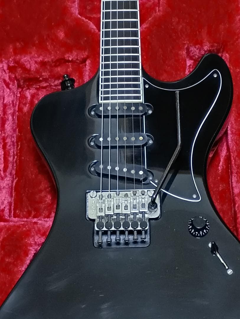 【SUGIZO直筆サイン入り！】 LUNASEA　TLRS　　　ESP R-Ⅰ