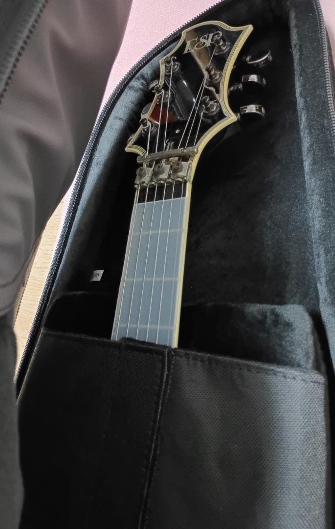 【SUGIZO直筆サイン入り！】 LUNASEA　TLRS　　　ESP R-Ⅰ