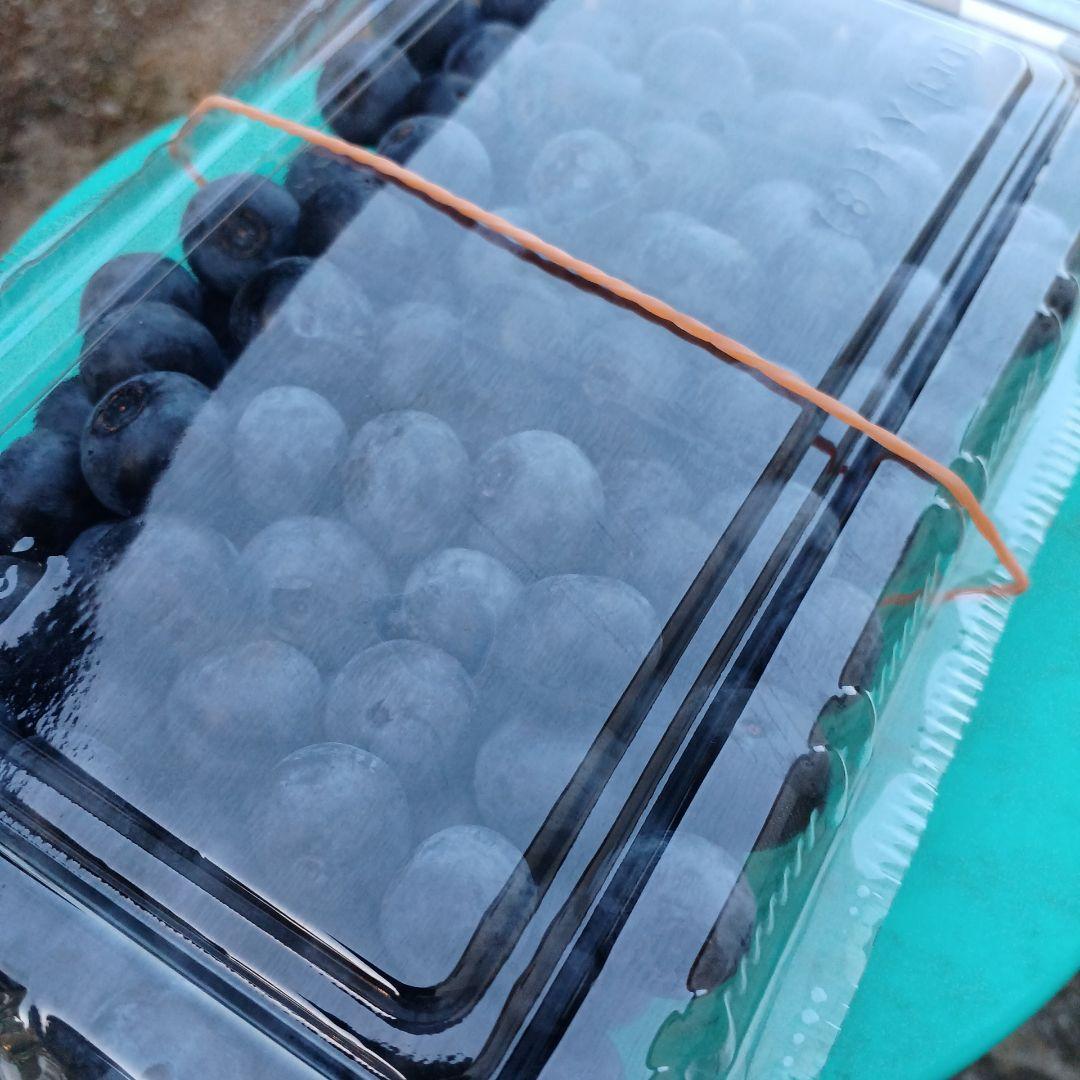 トミー様予約　冷凍　ブルーベリー　4kg