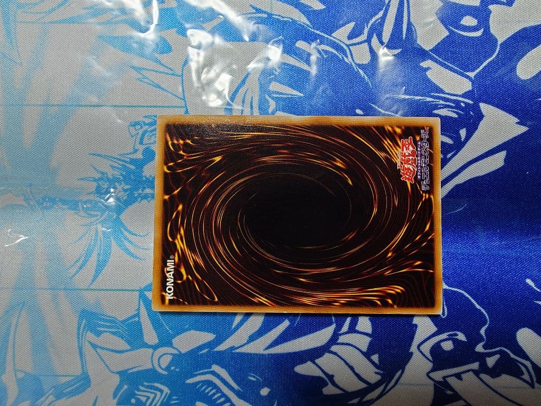 【期間限定】ブラック・ローズ・ドラゴン　レリーフ