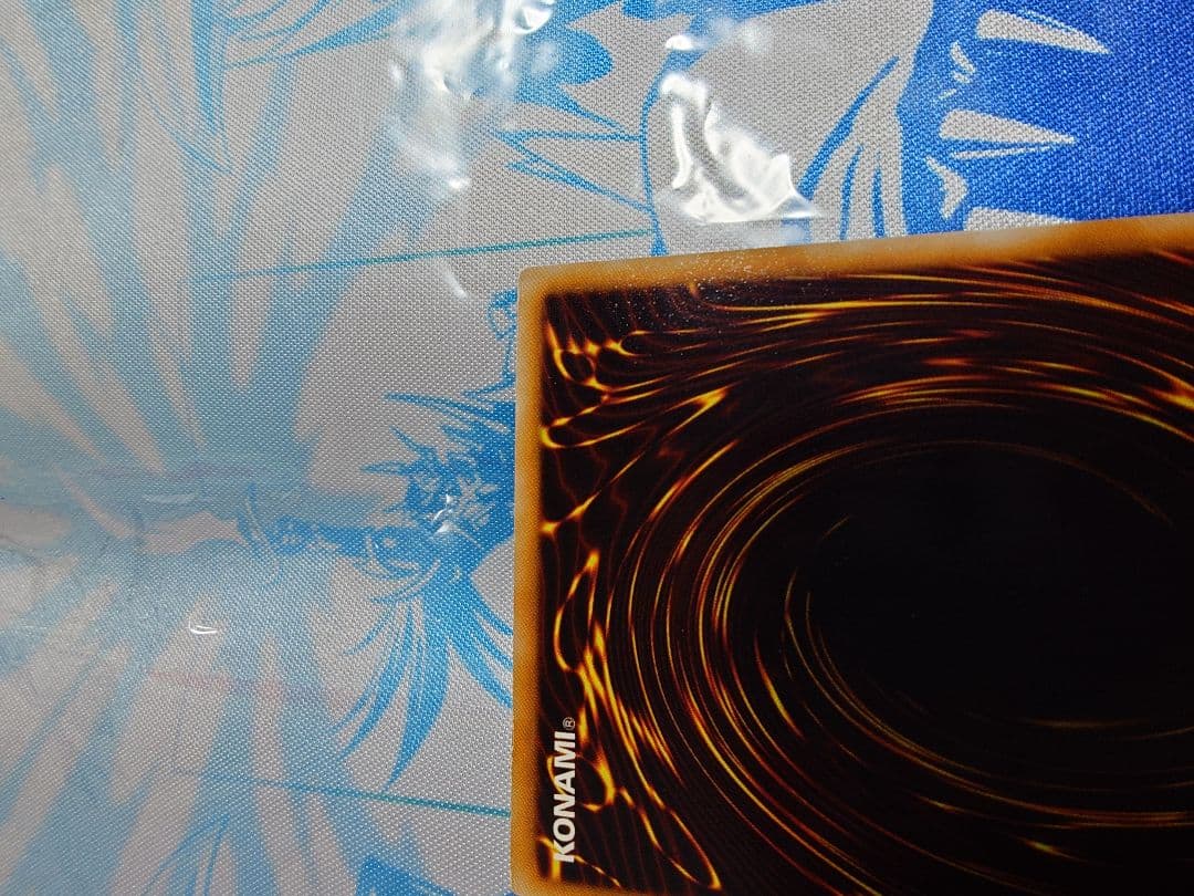 【期間限定】ブラック・ローズ・ドラゴン　レリーフ