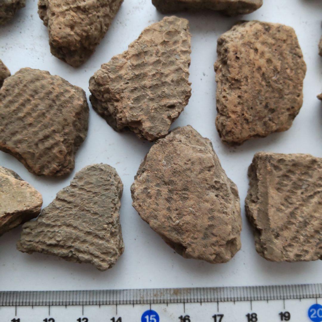 ★本物の縄文土器★(新潟県出土)24、23点