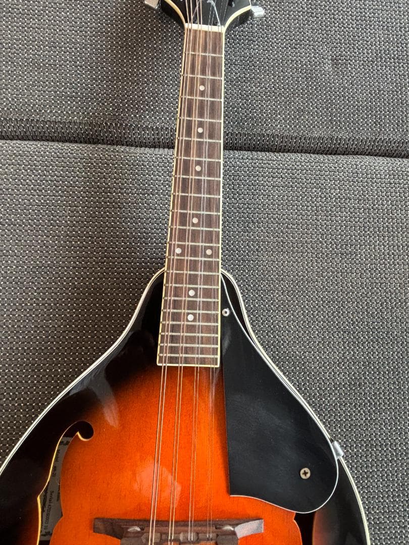 【美品と思います】Aria AM-20 マンドリン　ハードケース付き　送料無料