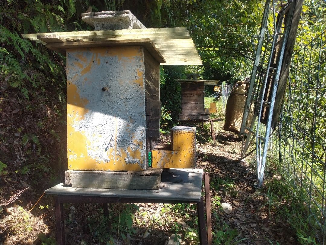 日本蜂蜜、百花蜜、愛媛県産、600g×2＝1.200g