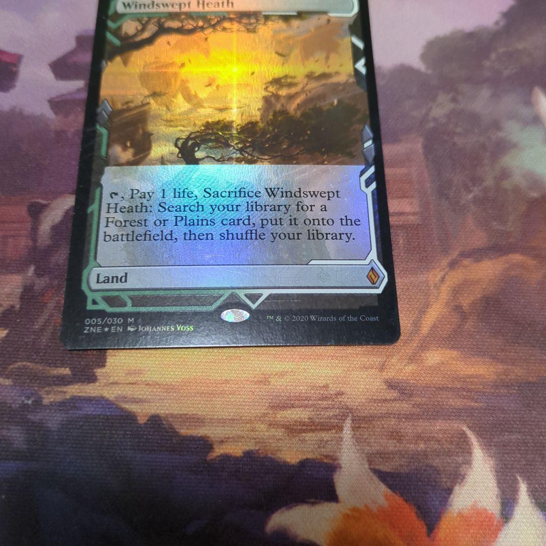 MTG 吹きさらしの荒野 ZNE 英語版 Foil