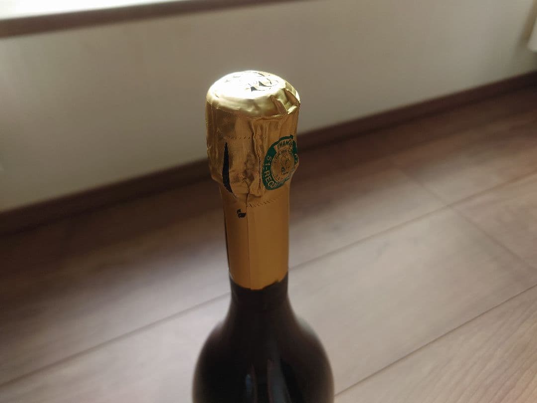 サン・ガール　オルパール　2008