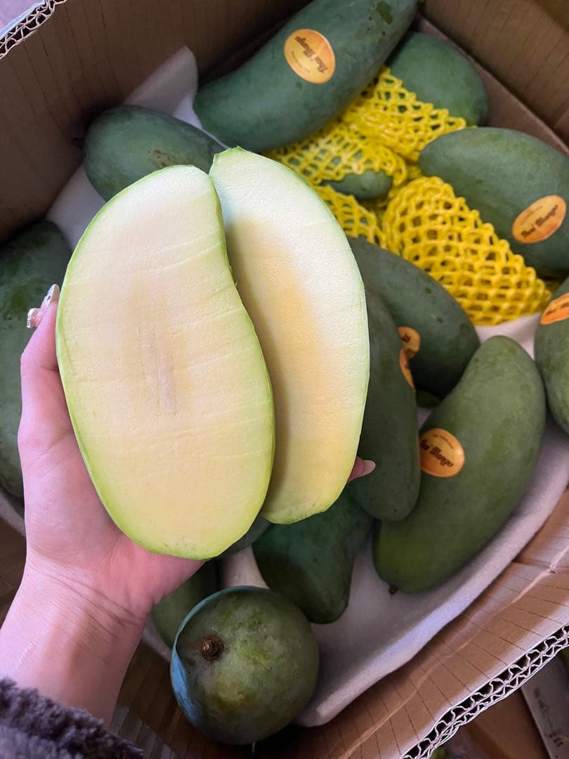 甘いグリーンマンゴー 5キロ クール便込み
