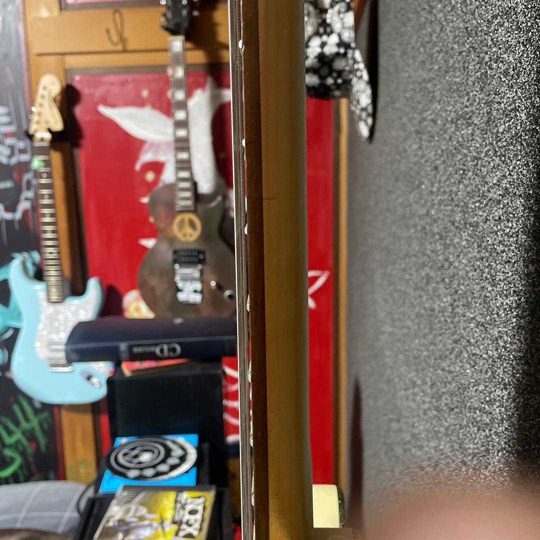 ベース　ダンエレクトロDC59希少品 最終値下げ