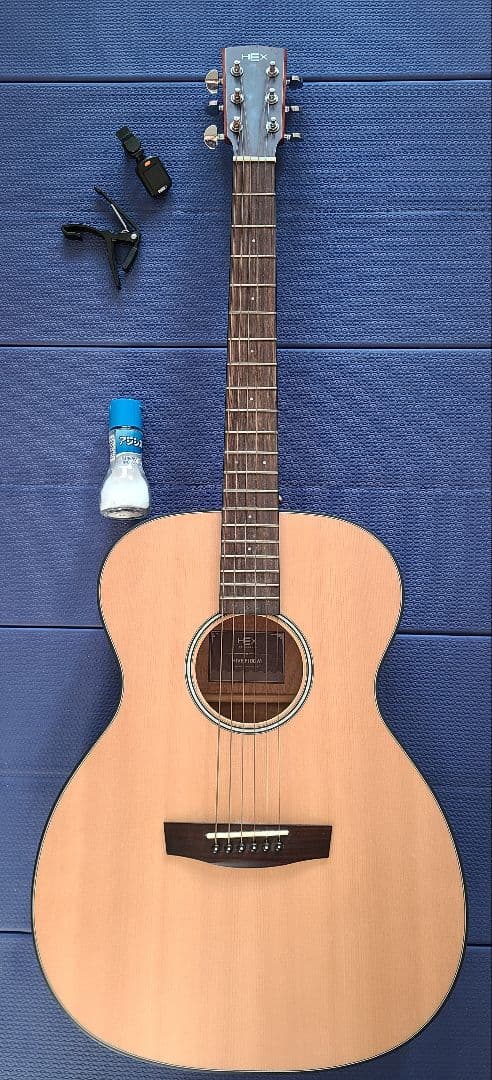 アコースティックギター HEX F100 M ケース付き 美品