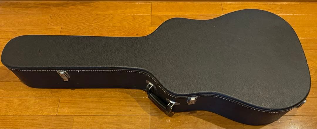 激レア Morris special スロテッドヘッド 12弦