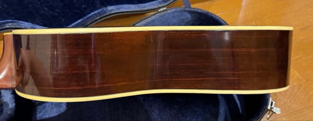 激レア Morris special スロテッドヘッド 12弦