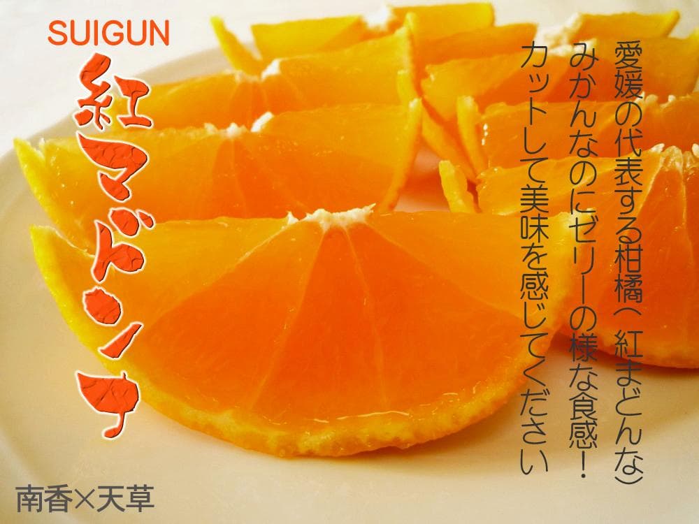 【Ｋ】M玉SUIGUNマドンナ10Kg　　【5Kg×２箱縛りでの発送】