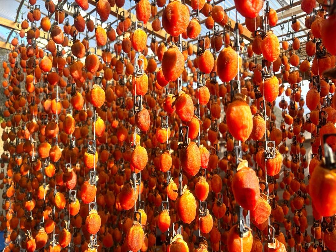 市田干し柿 12袋セット 合計約3kg お得セット