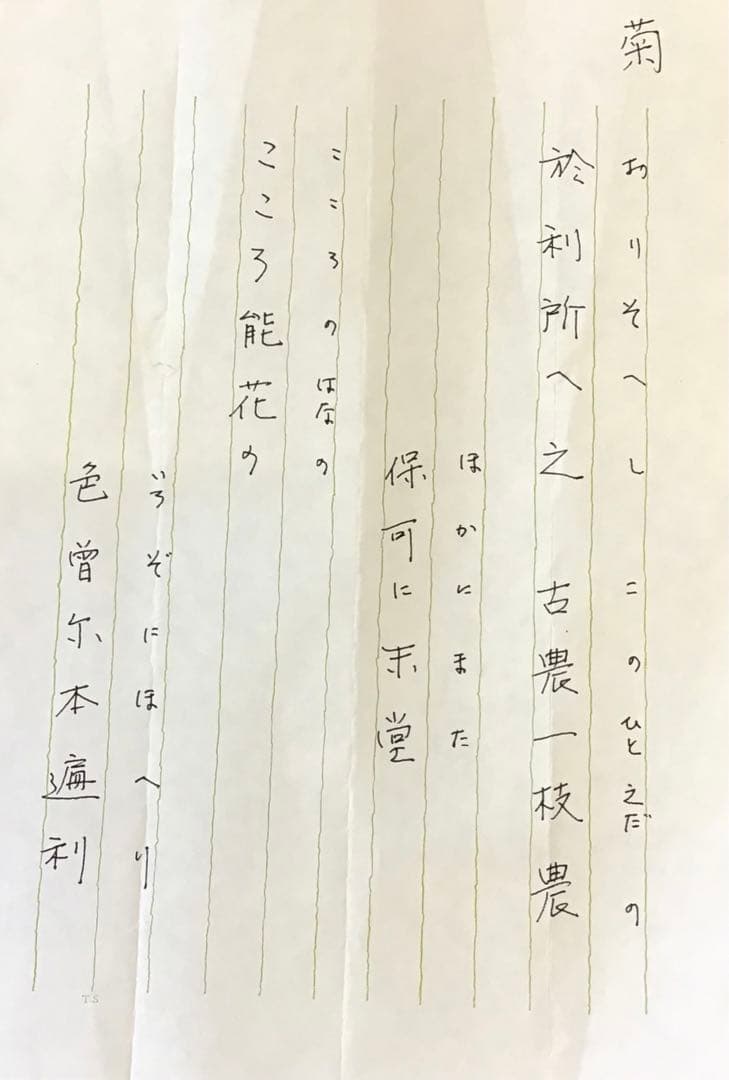 K茶道具　掛軸　「菊」　松尾流十代宗吾(不染斎)作　書付　共箱　S948KJ