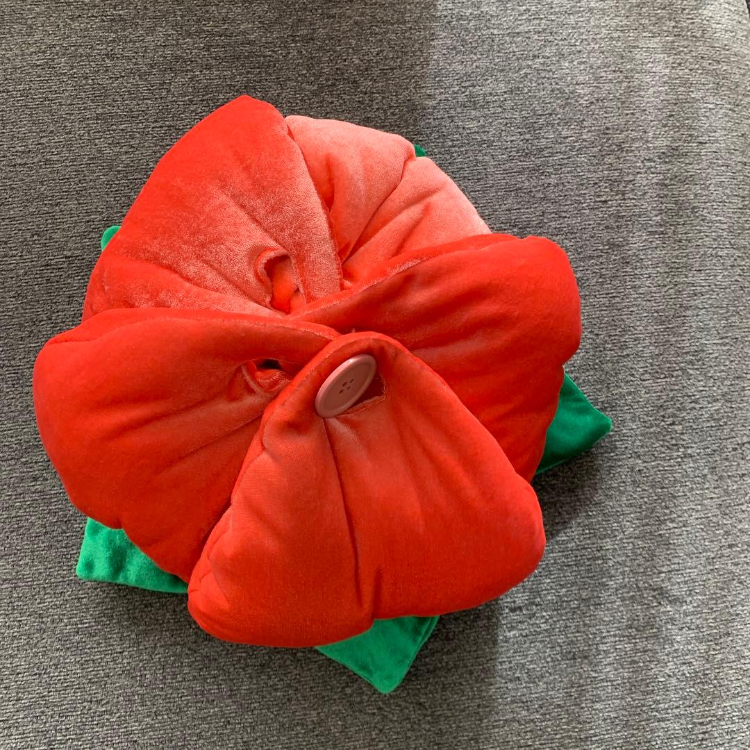 レア　ミッキー　ミニー　ぬいぐるみ　蕾　桃　ディズニーランド　当時物　縁起物