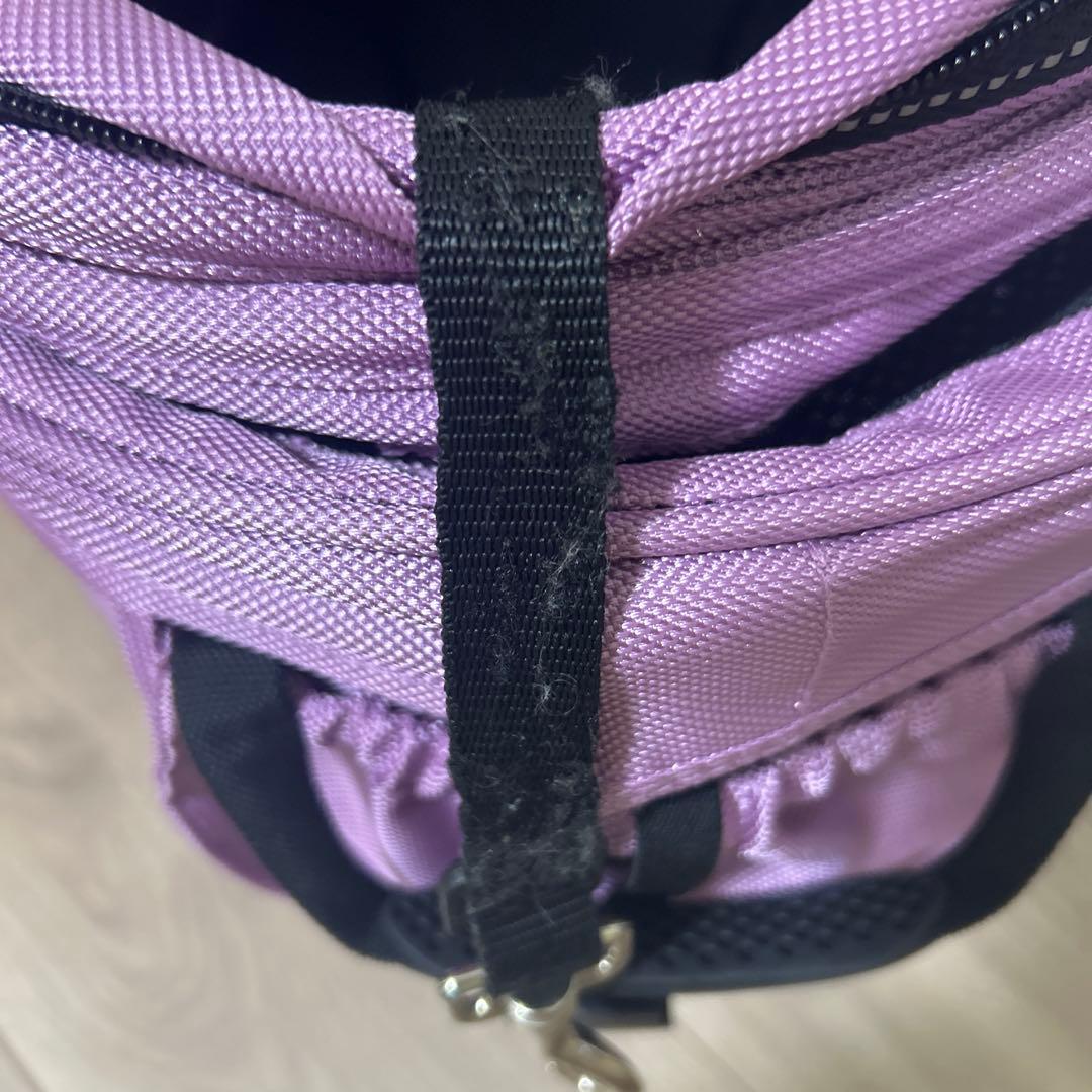 エアバギー　DOME2 サイズSM ライラックカラー　美品　価格改定値下げです。