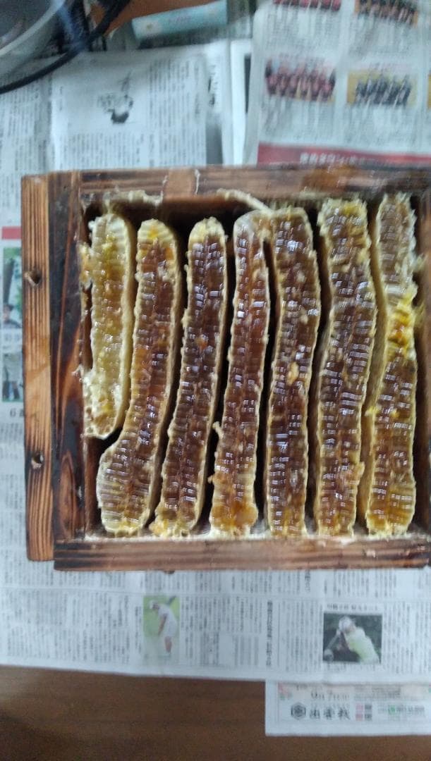 ニホンミツバチ蜂蜜百花蜜1000ｇ3本