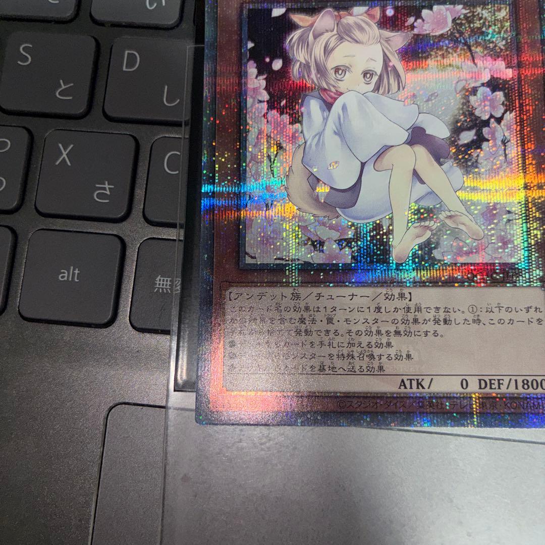 灰流うらら はるうらら　25th 絵違い　クオシク 遊戯王