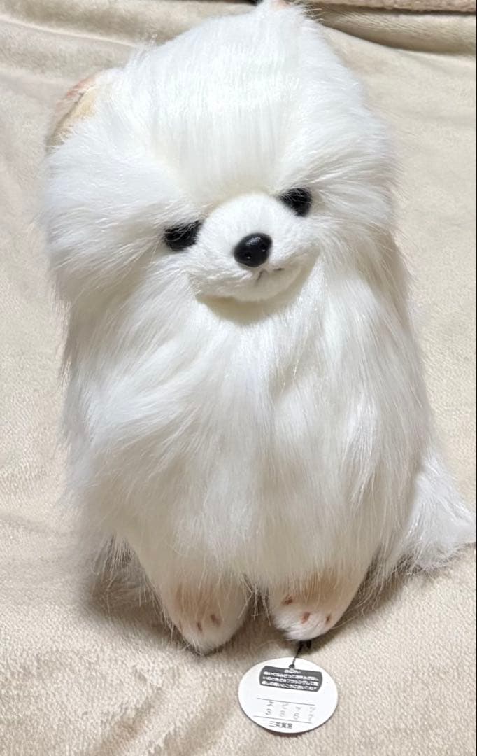 犬　三英　スピッツ　ポメラニアン　ぬいぐるみ　ホワイト