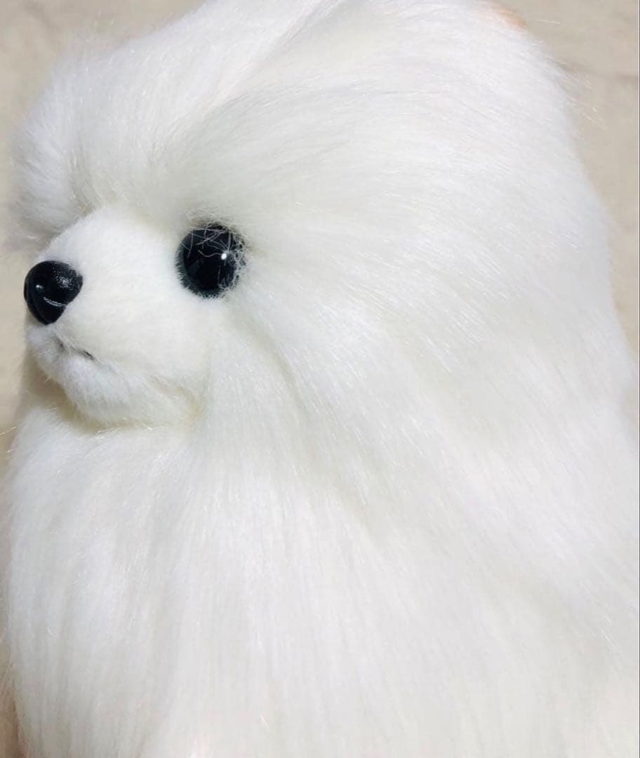 犬　三英　スピッツ　ポメラニアン　ぬいぐるみ　ホワイト