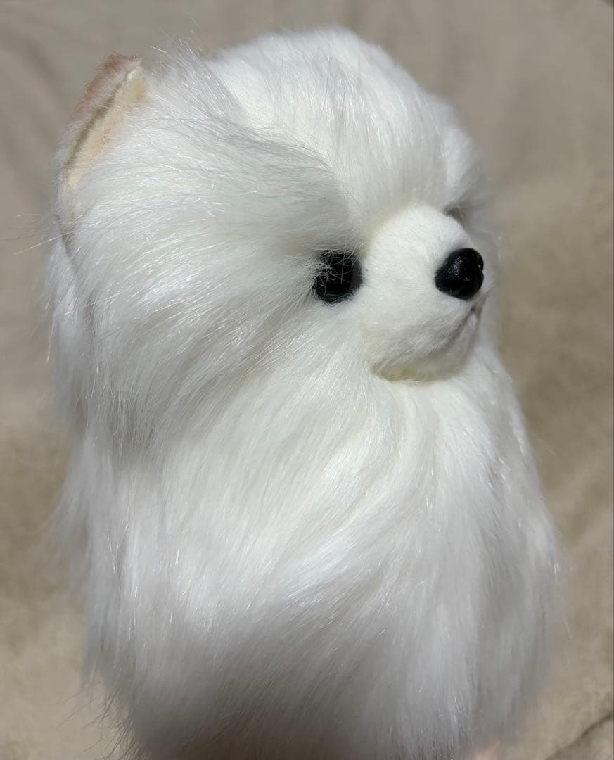 犬　三英　スピッツ　ポメラニアン　ぬいぐるみ　ホワイト