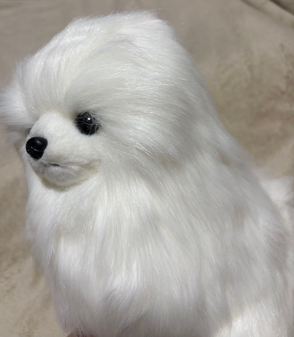 犬　三英　スピッツ　ポメラニアン　ぬいぐるみ　ホワイト
