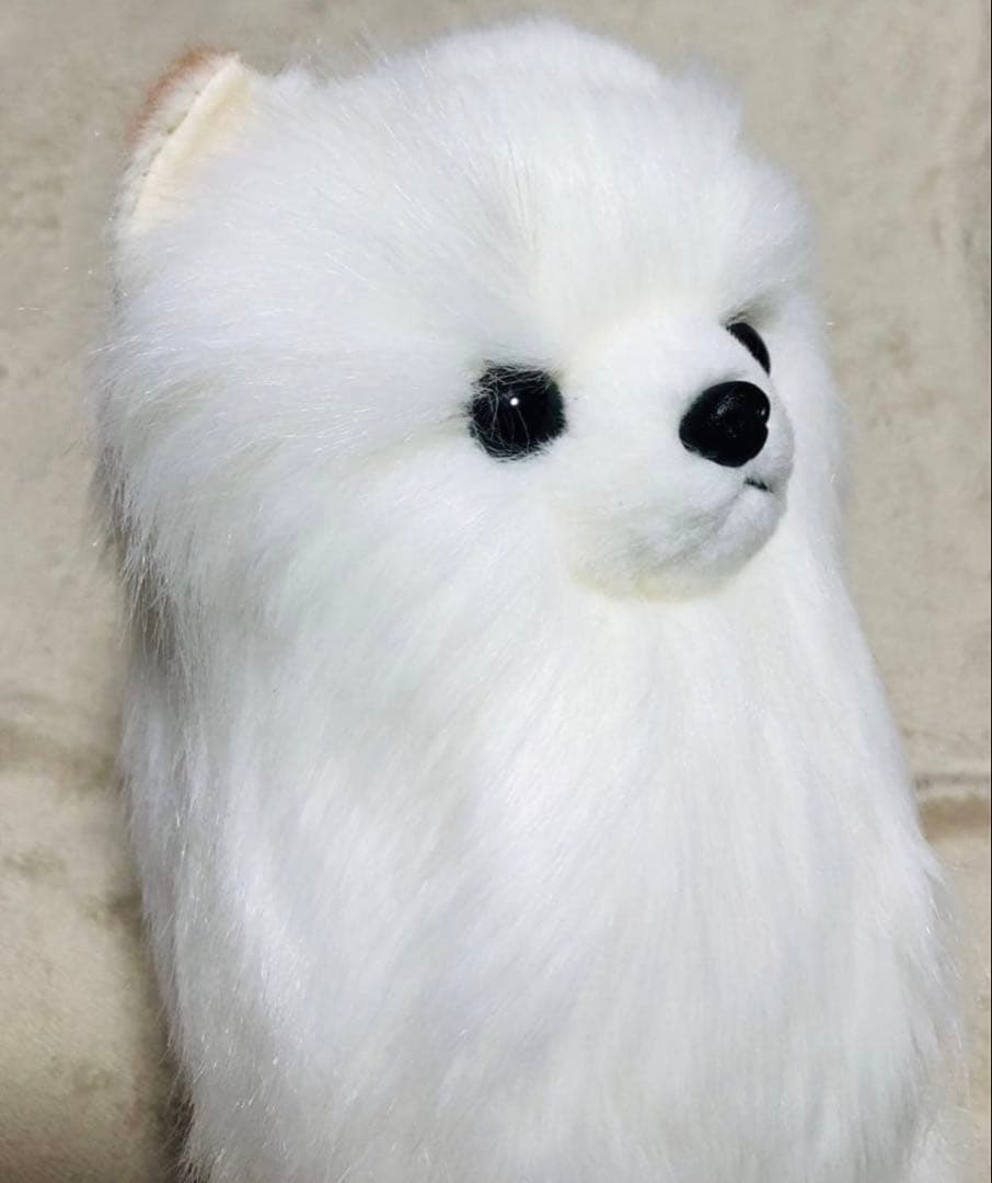 犬　三英　スピッツ　ポメラニアン　ぬいぐるみ　ホワイト
