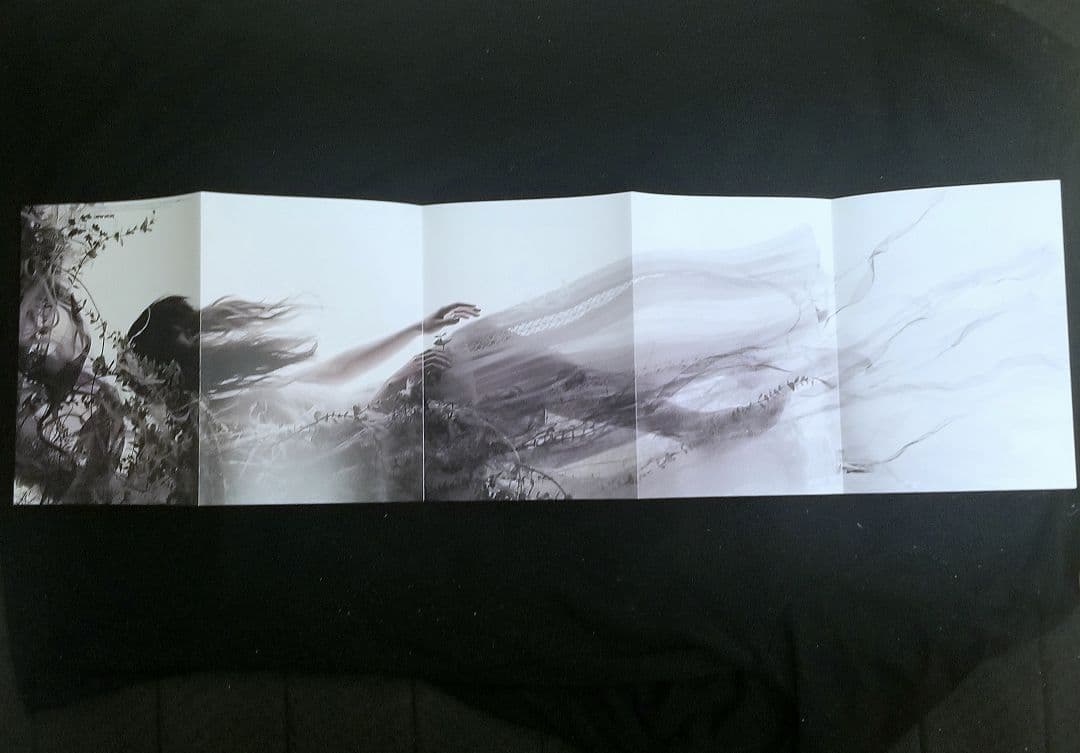 Aimer CD 直筆サイン DVD Blu-ray 他グッズまとめ 希少