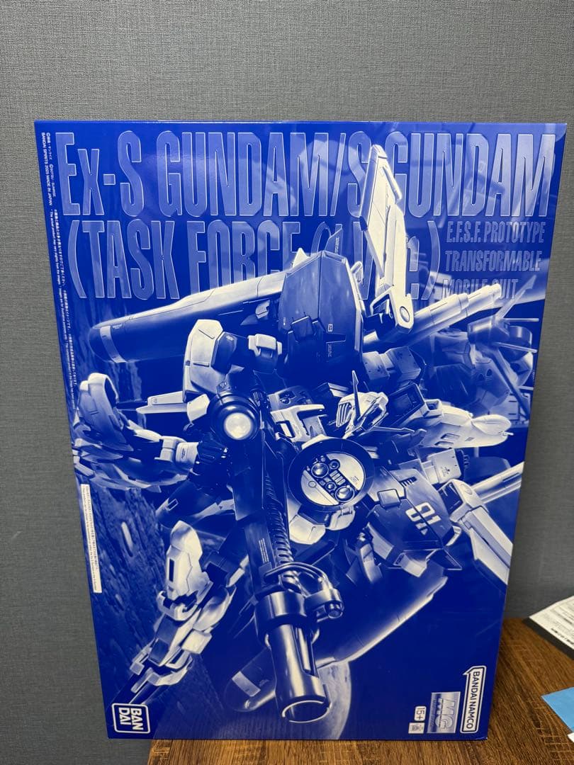 Mg ガンダムEx-S (Task Force)
