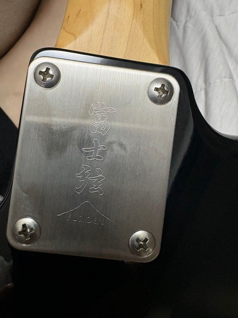 エレキギター　富士弦