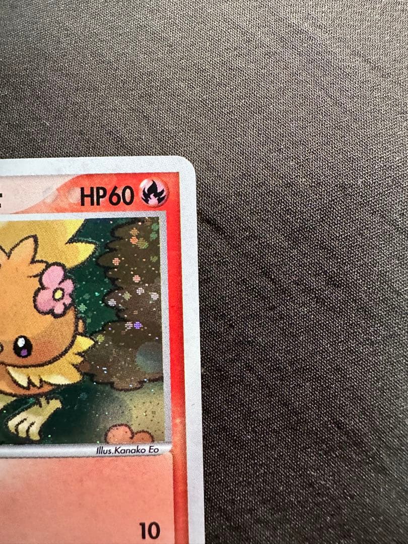 美品　ポケパークのアチャモ　ポケパークプレミアムファイル 002/009