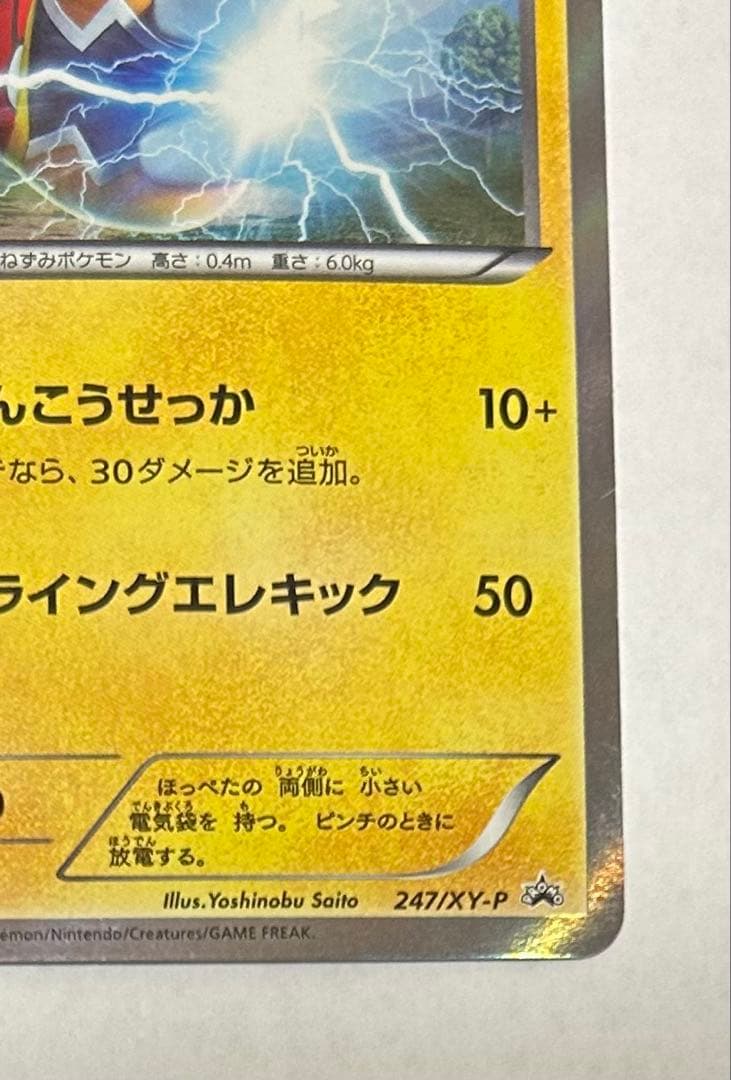 マスクド・ピカチュウ：マスクド・ピカチュウ スペシャルパック PROMO XY…