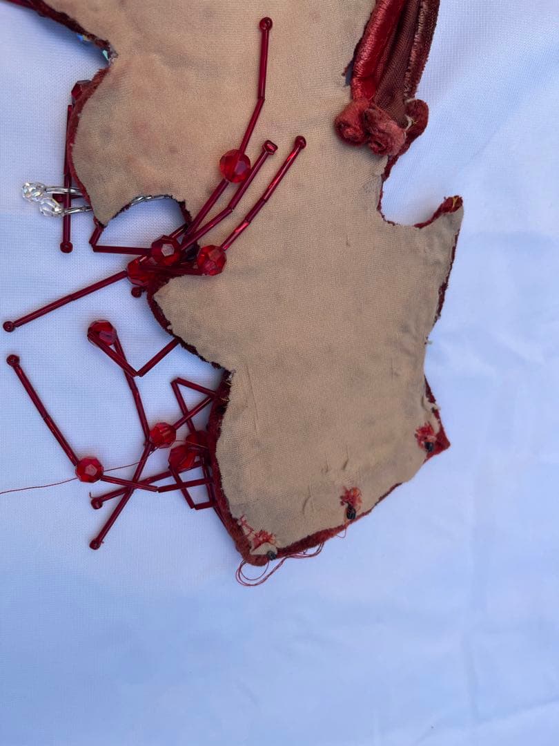 ブラジルベリーダンス セットアップ 赤紫