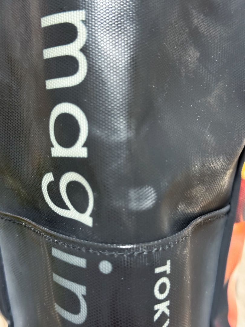 【新品未使用】東京ディズニーリゾート 実写　トートバッグ L