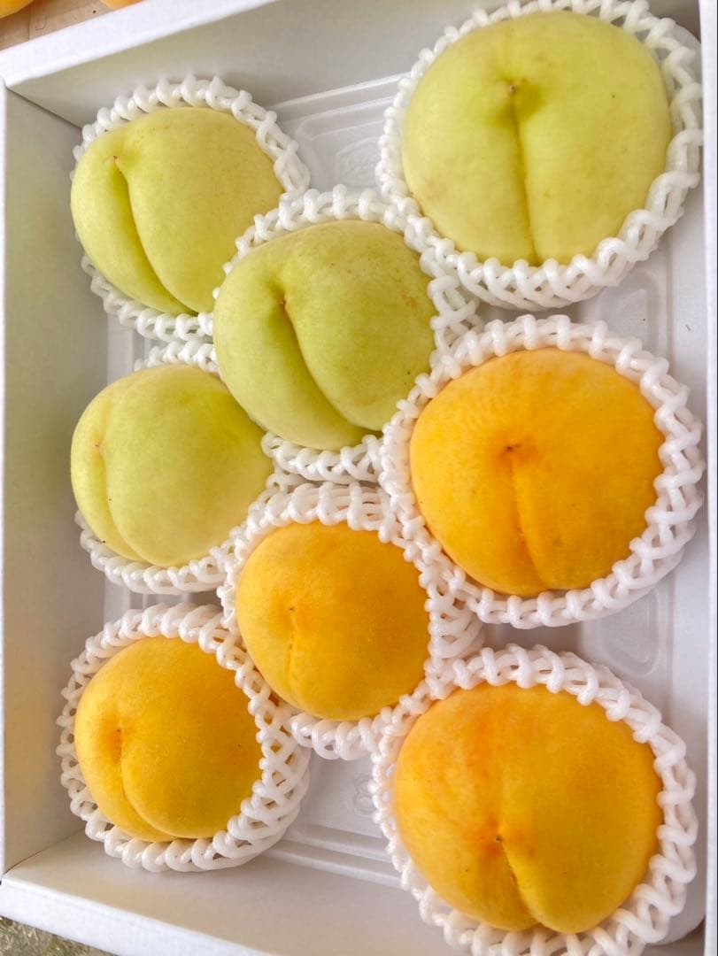 岡山の白桃(6)白露　黄金桃　8玉　2.5キロ　藤井農園　9/4収穫　進物可能