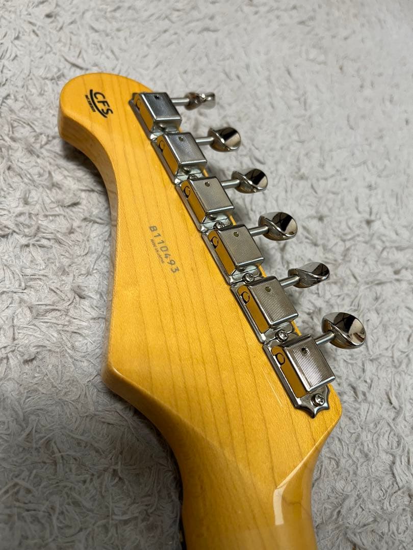 Coolz ZST-1R lPB スカパラ加藤　流木MOD