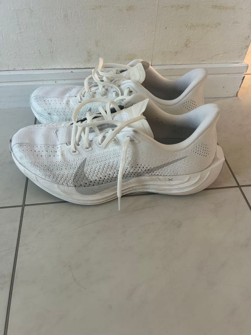 ペガサスプラス