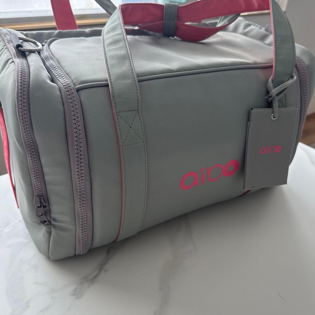 その他 aibo ERS-1000