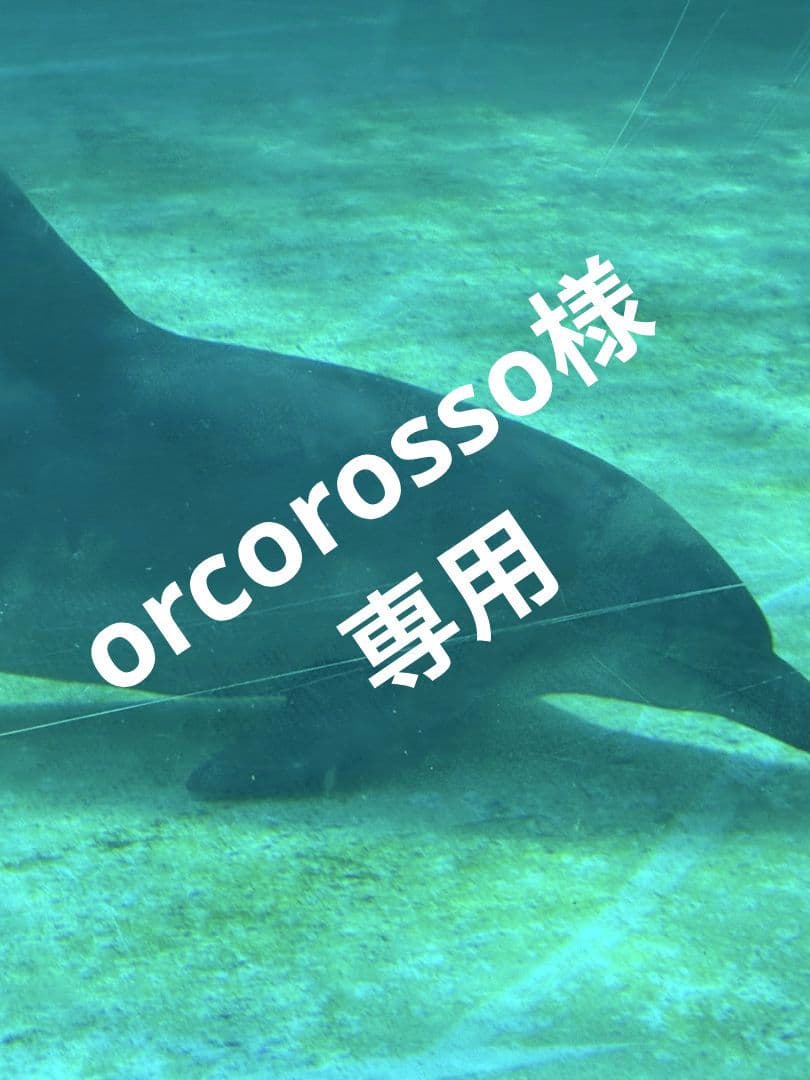 レア スノーピークマグ雪峰M 400 300 200 150廃盤