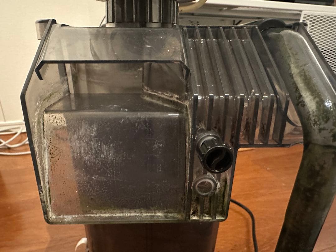 カミハタ　海道達磨　プロテインスキマー