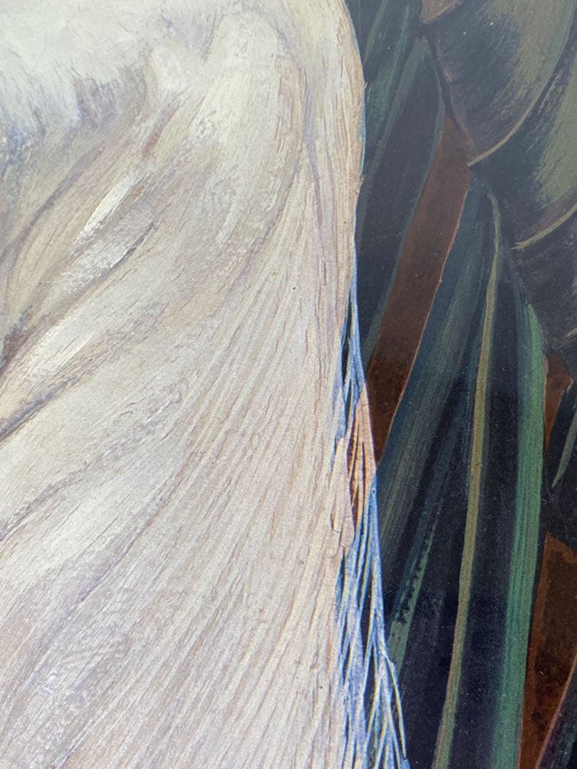 2453❣️Jessie Arms Botke アート　2点セット　希少