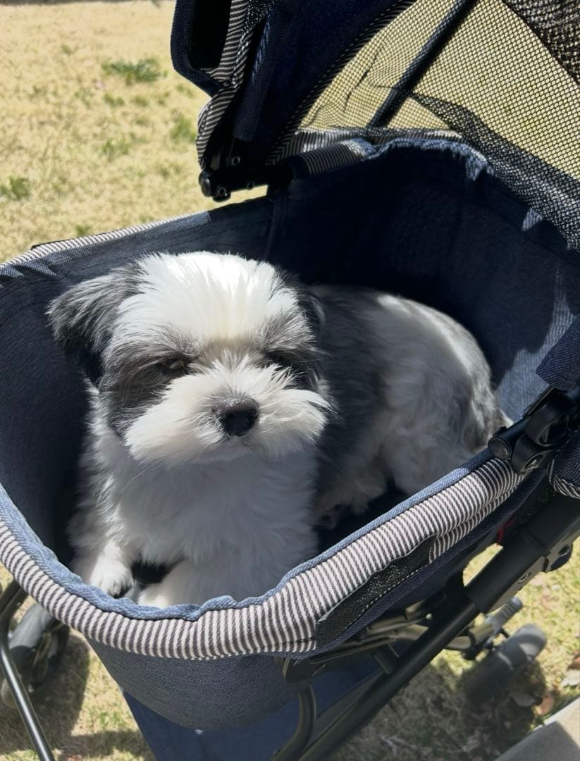 ⭐︎美品　 ペットカート メッシュカバー付き