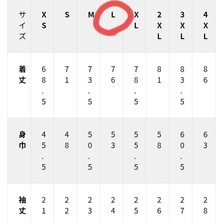 L　2022　 鹿児島ユナイテッド　オーセンティック　ユニフォーム　リミテッド