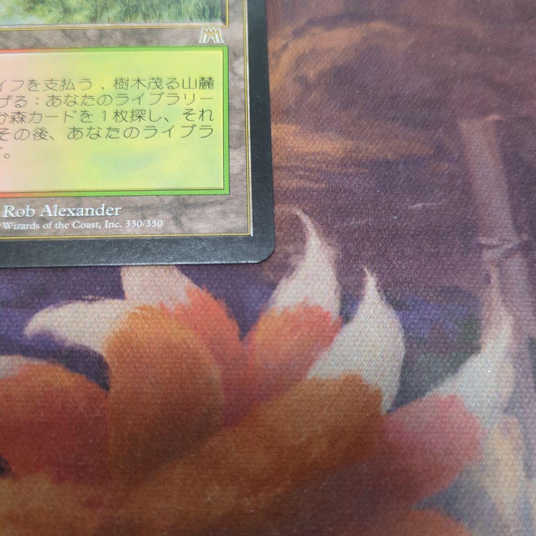 MTG　樹木茂る山麓　Wooded Foothills　ONS　日語