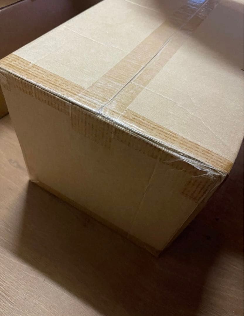 新品 送料込 ゼインアーツ ギギ2 PS-022/ZANEARTS